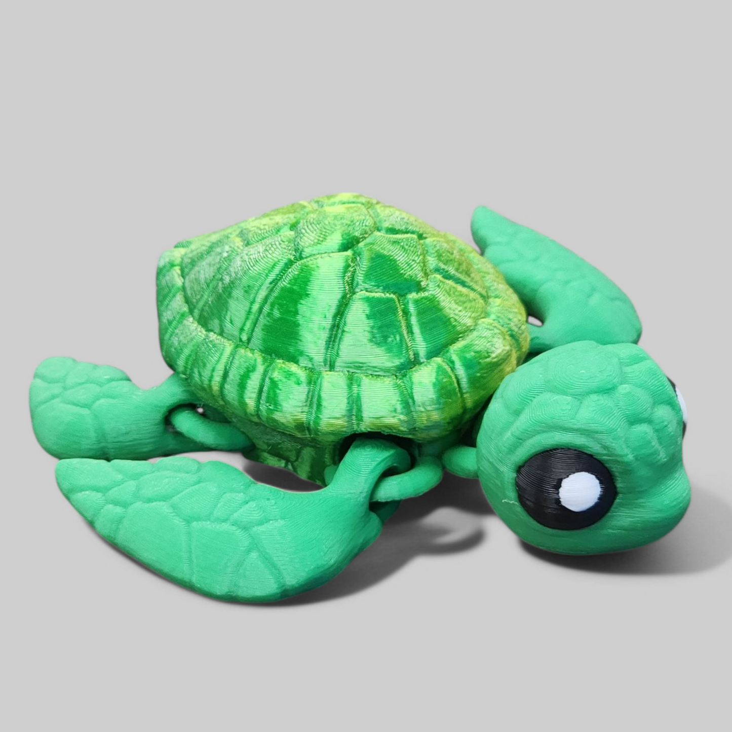 Sea Turtle Baby Animal