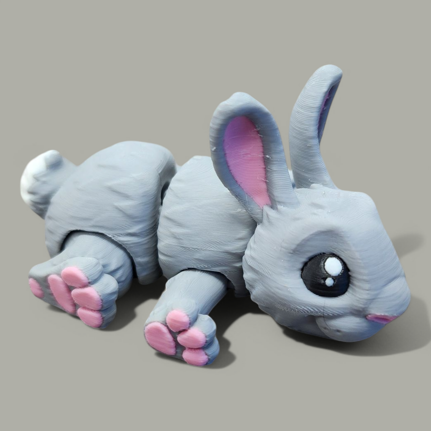 Bunny Baby Animal