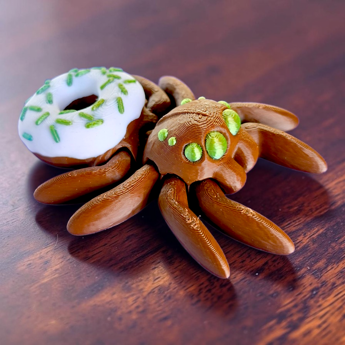 Donut Spider Baby Animal
