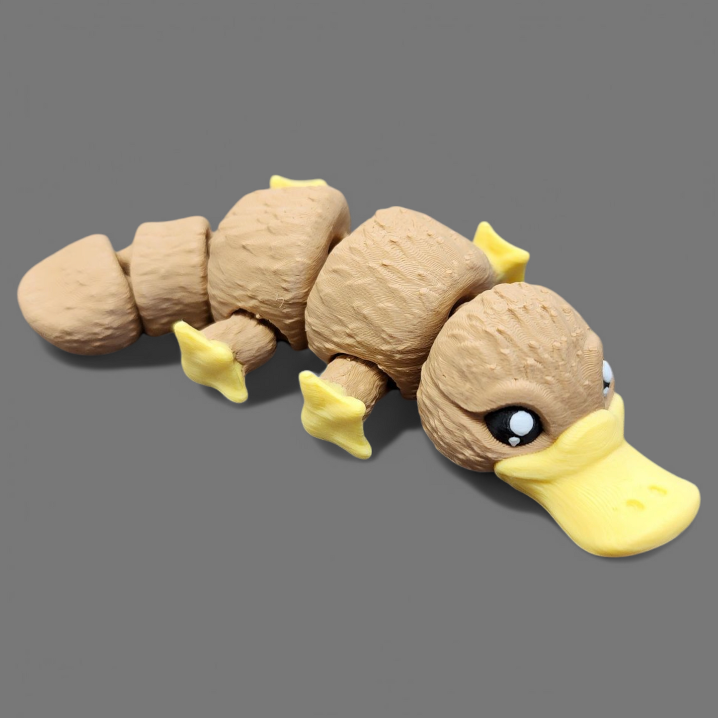 Platypus Baby Animal