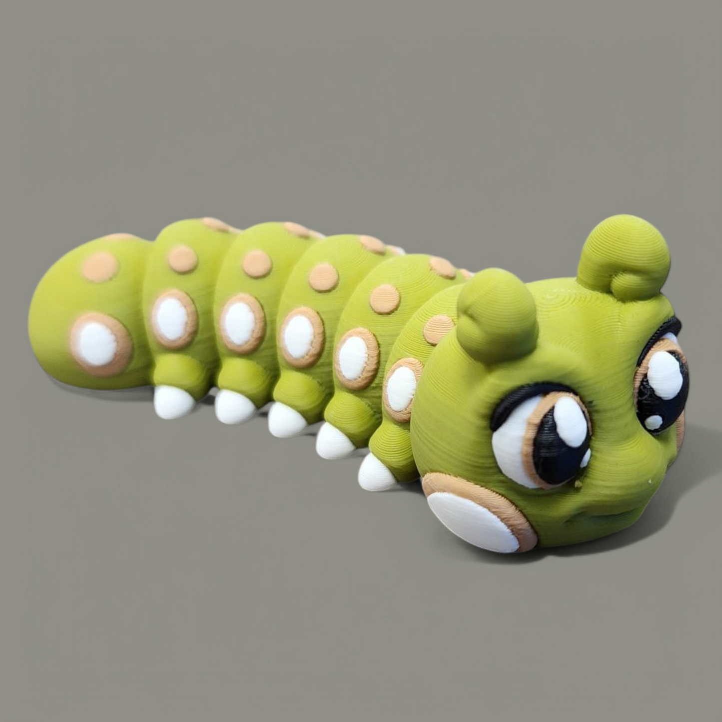 Caterpillar Baby Animal