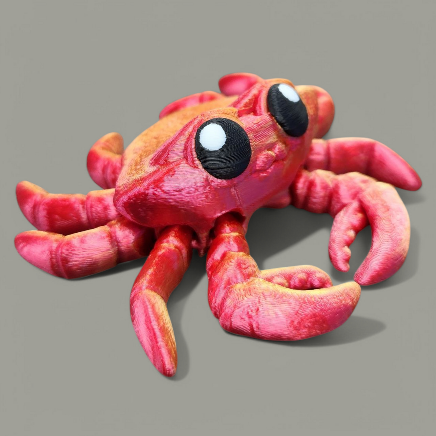 Crab Baby Animal