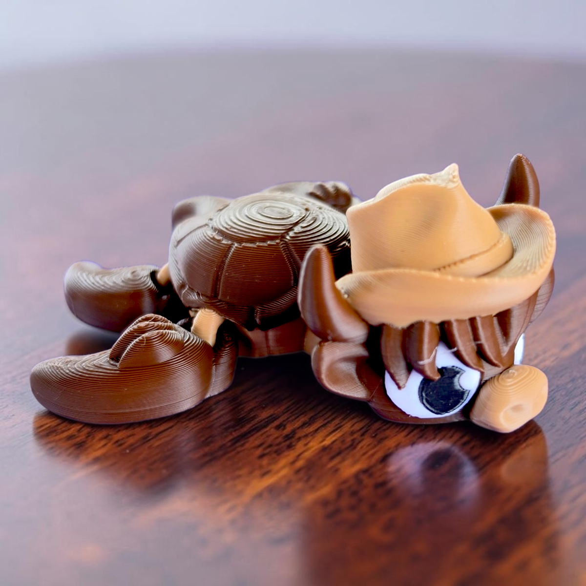 COWboy Turtle Baby Animal