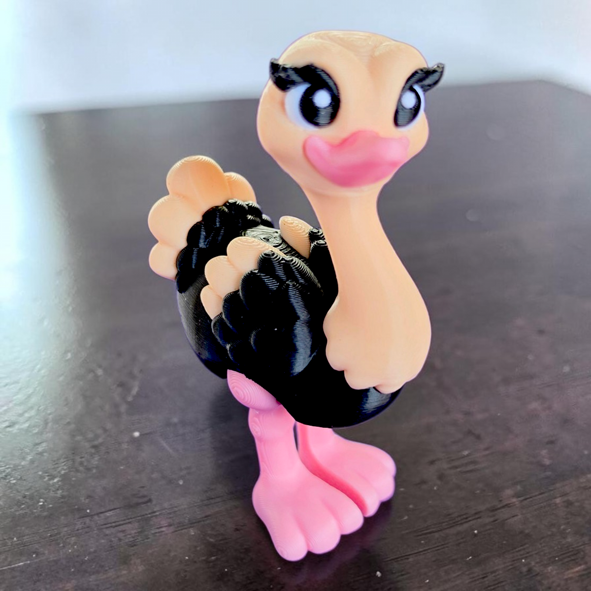 Ostrich Baby Animal