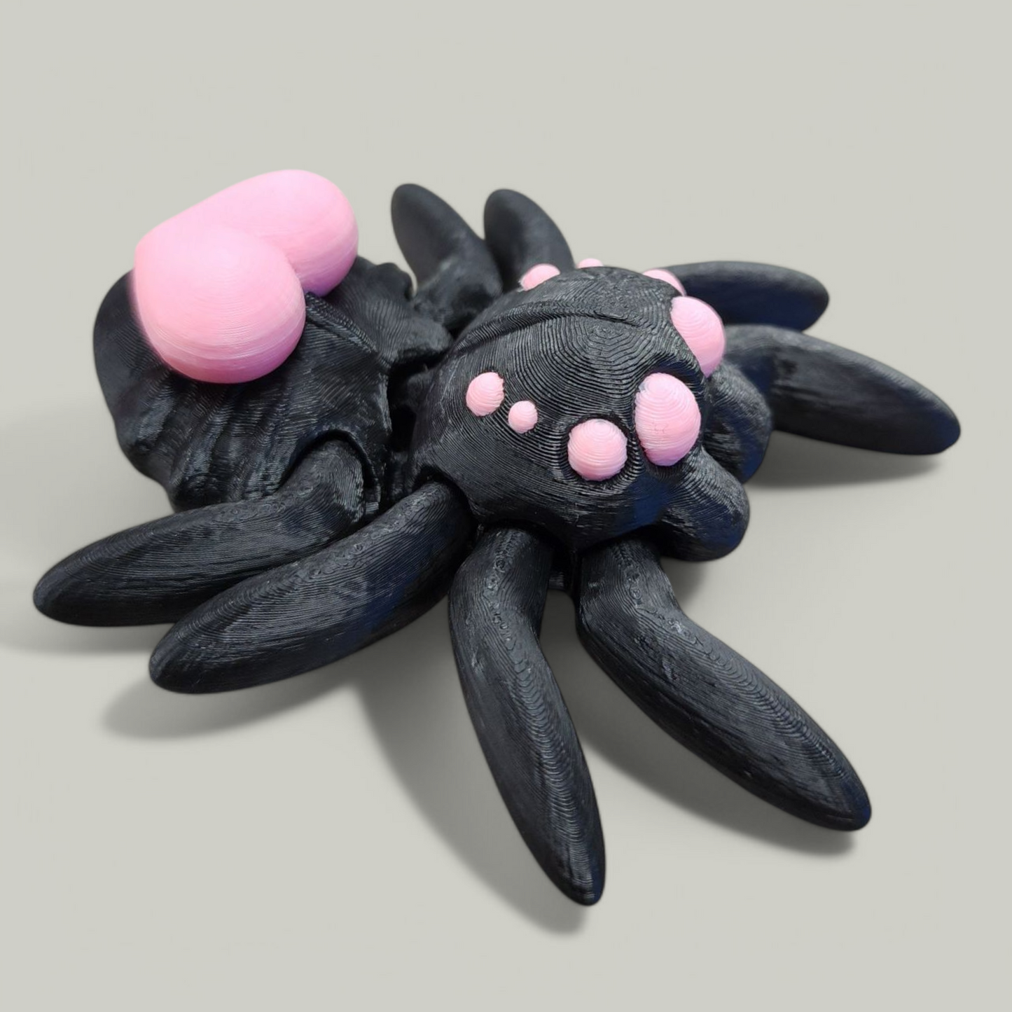 Heart Spider Baby Animal