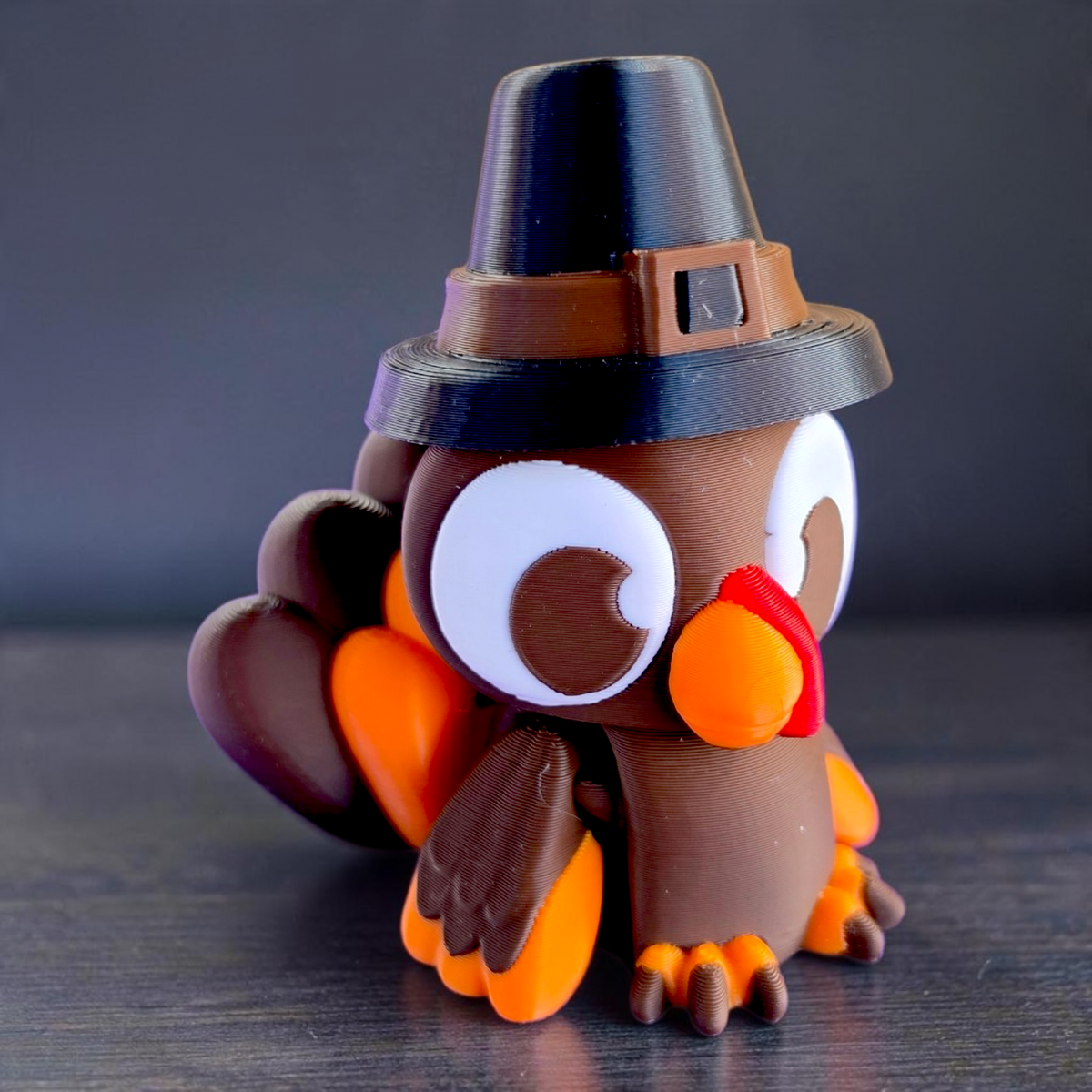 Turkey Baby Animal