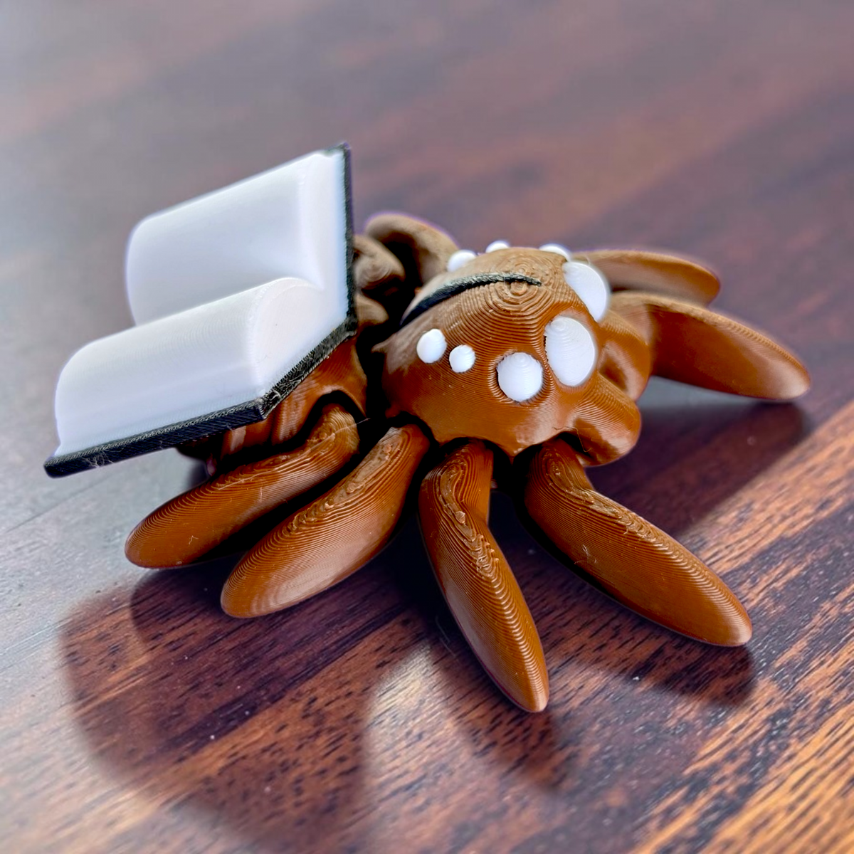Book Spider Baby Animal