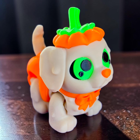 Pumpkin Dog Baby Animal