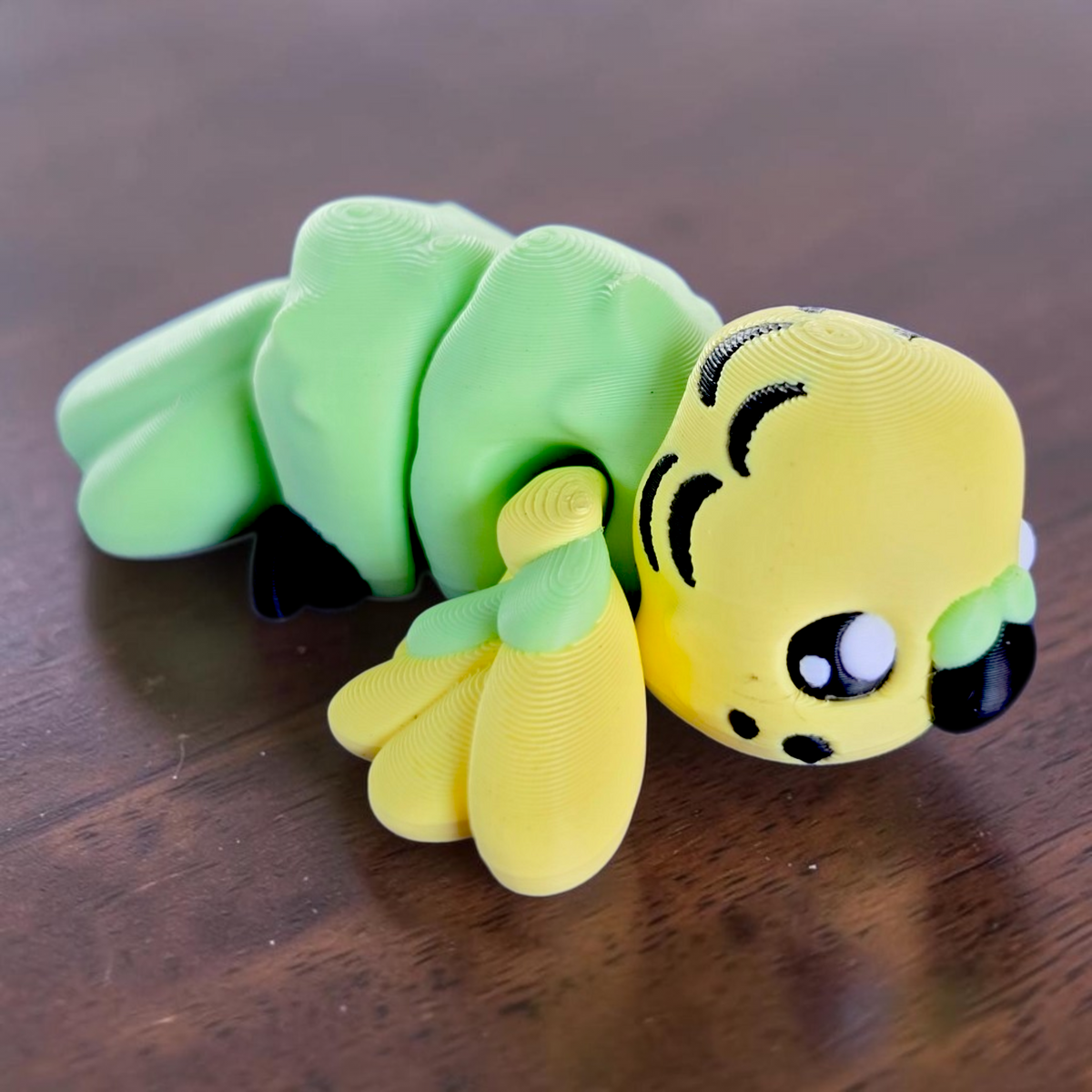 Parakeet - Budgie Baby Animal