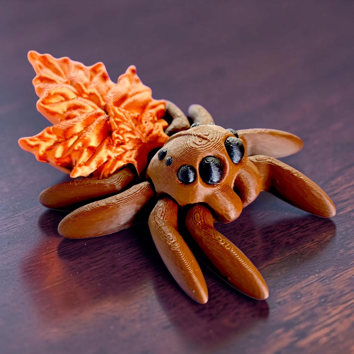 Leaf Spider Baby Animal