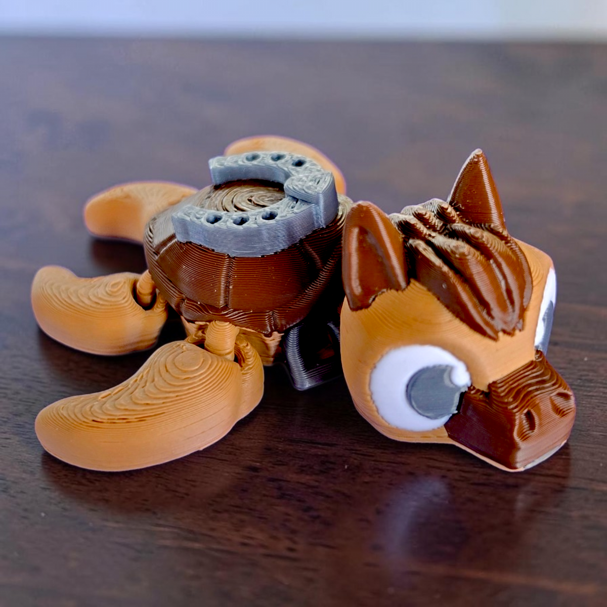 Horse Turtle Baby Animal