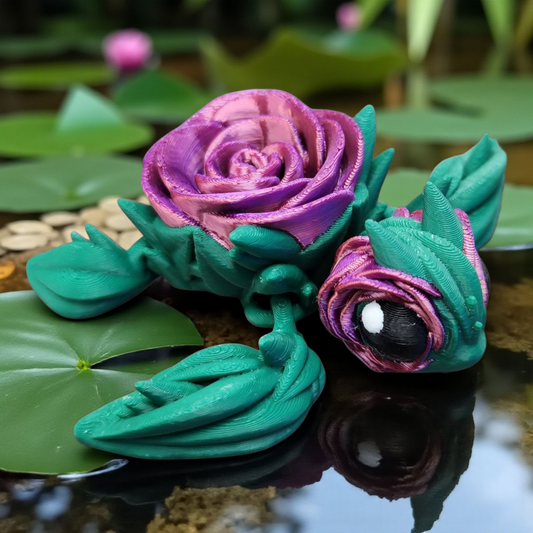 Turtle Baby Animal
