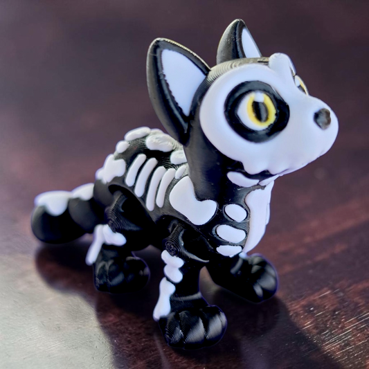 Skeleton Cat Baby Animal