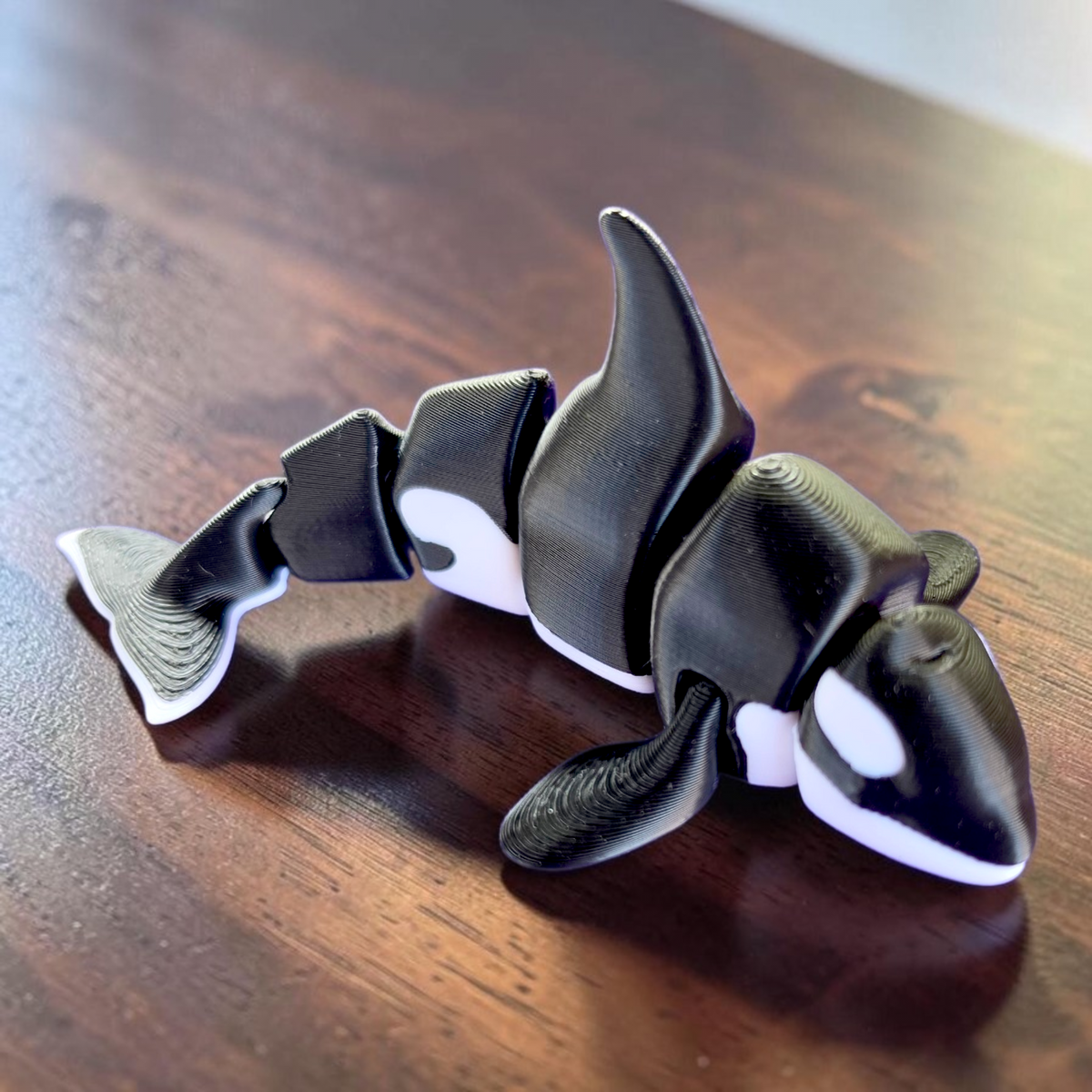 Orca Baby Animal