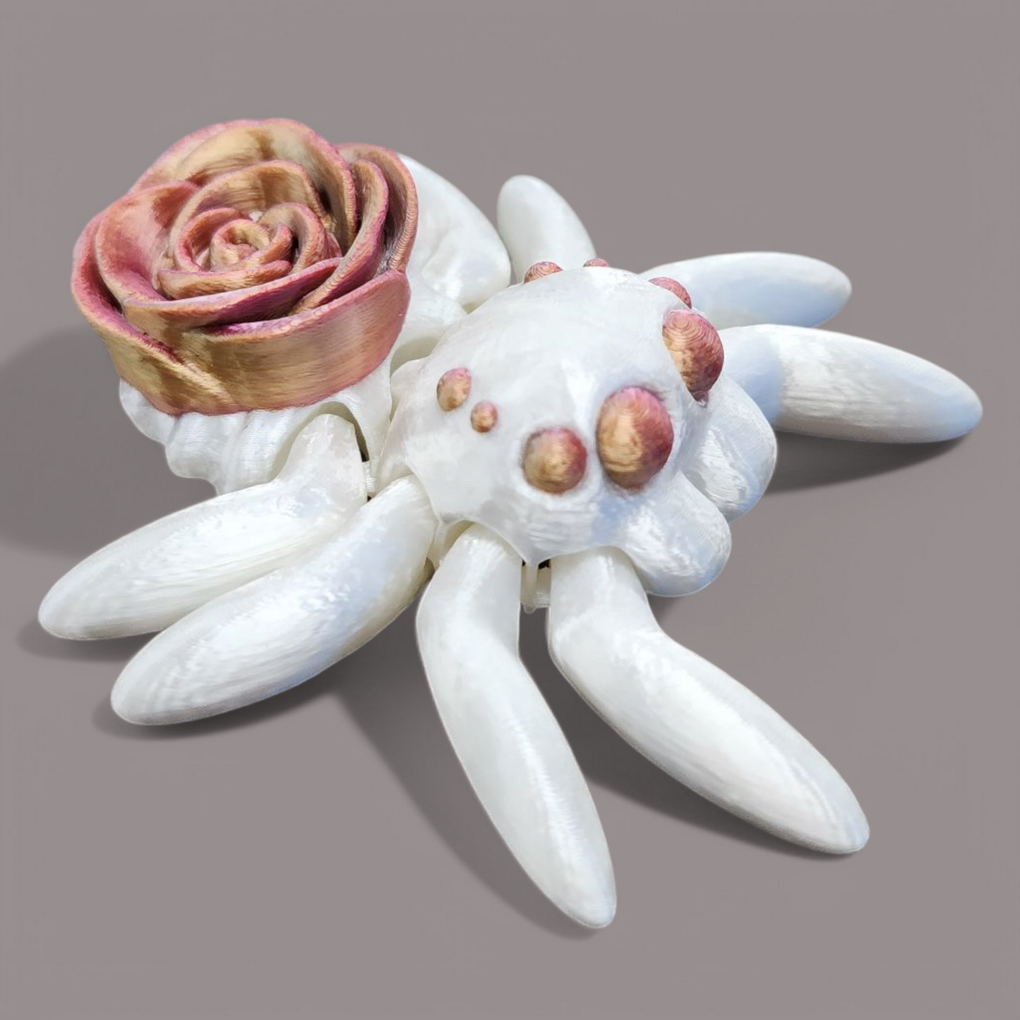 Rose Spider Baby Animal