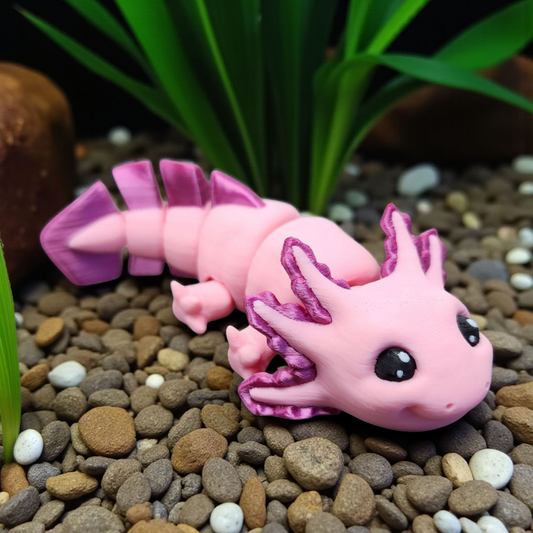 Axolotl Baby Animal