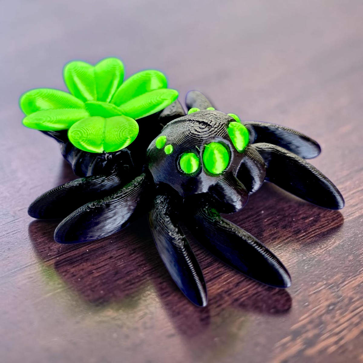 Lucky Spider Baby Animal