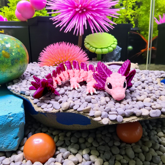 Baby Axolotl Dragon