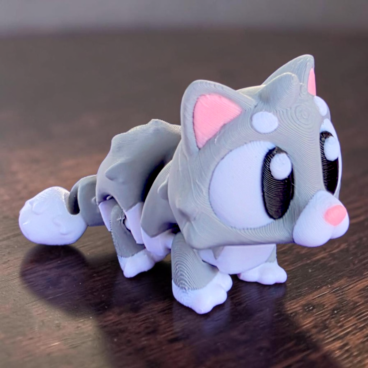 Cat Baby Animal