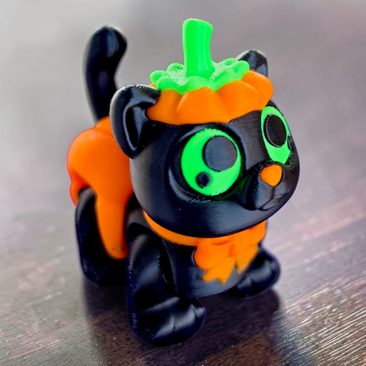 Pumpkin Cat Baby Animal