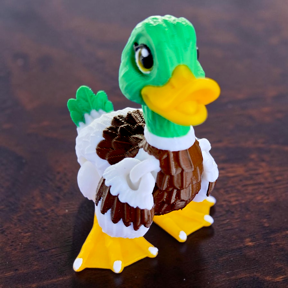 Duck Baby Animal
