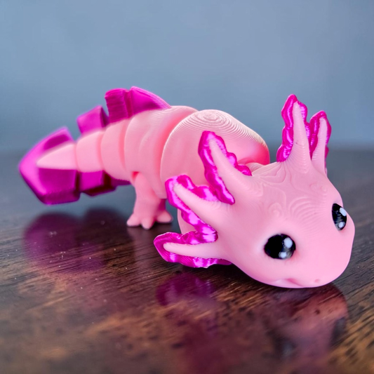 Axolotl Baby Animal